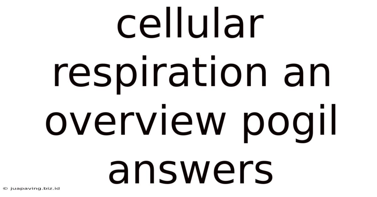 Cellular Respiration An Overview Pogil Answers