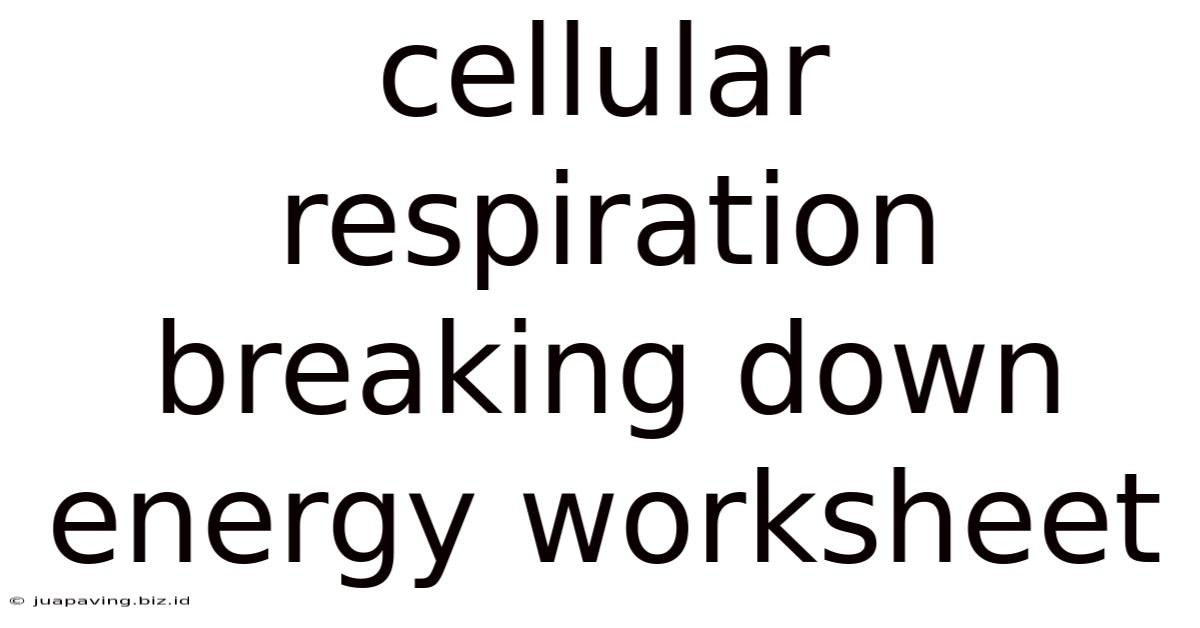 Cellular Respiration Breaking Down Energy Worksheet