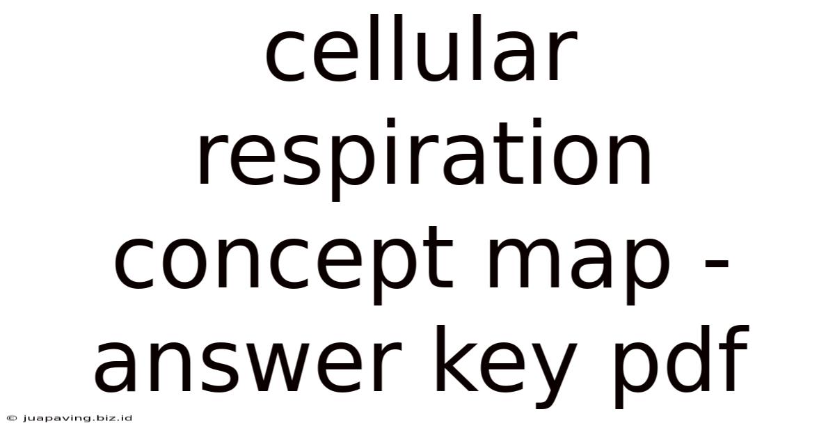 Cellular Respiration Concept Map - Answer Key Pdf