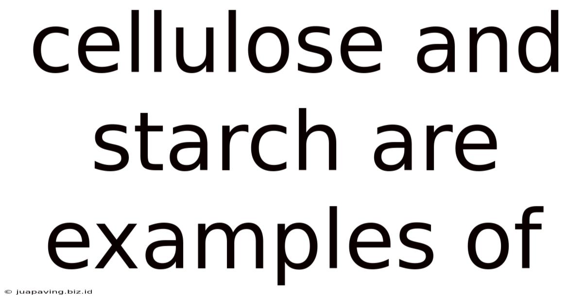 Cellulose And Starch Are Examples Of: