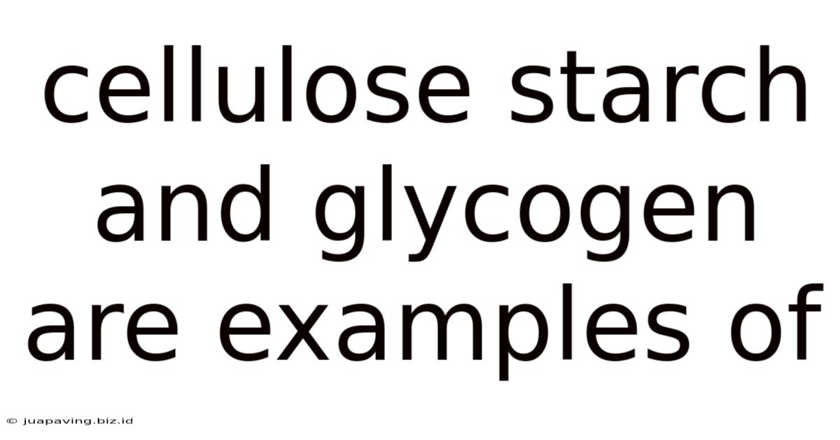 Cellulose Starch And Glycogen Are Examples Of