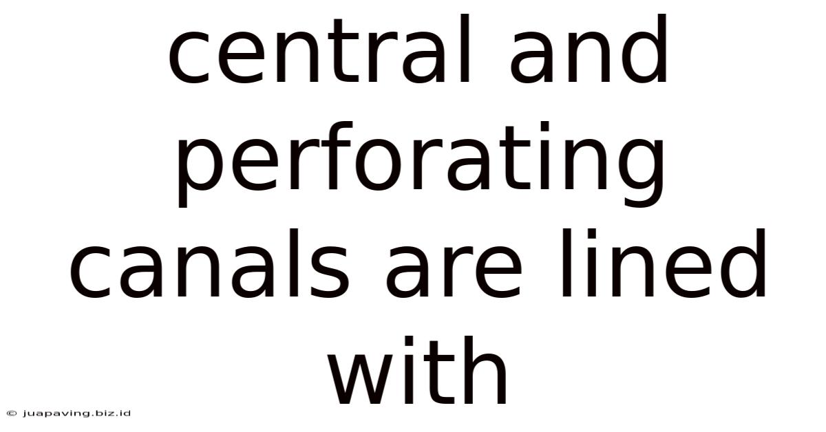Central And Perforating Canals Are Lined With