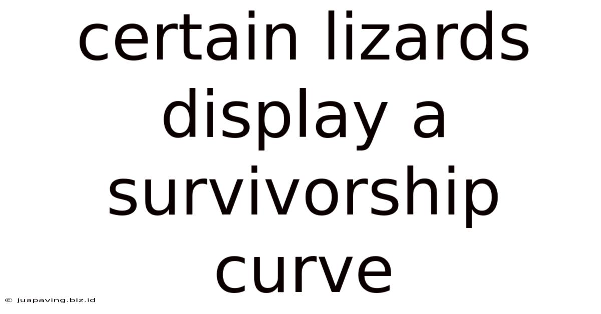 Certain Lizards Display A Survivorship Curve