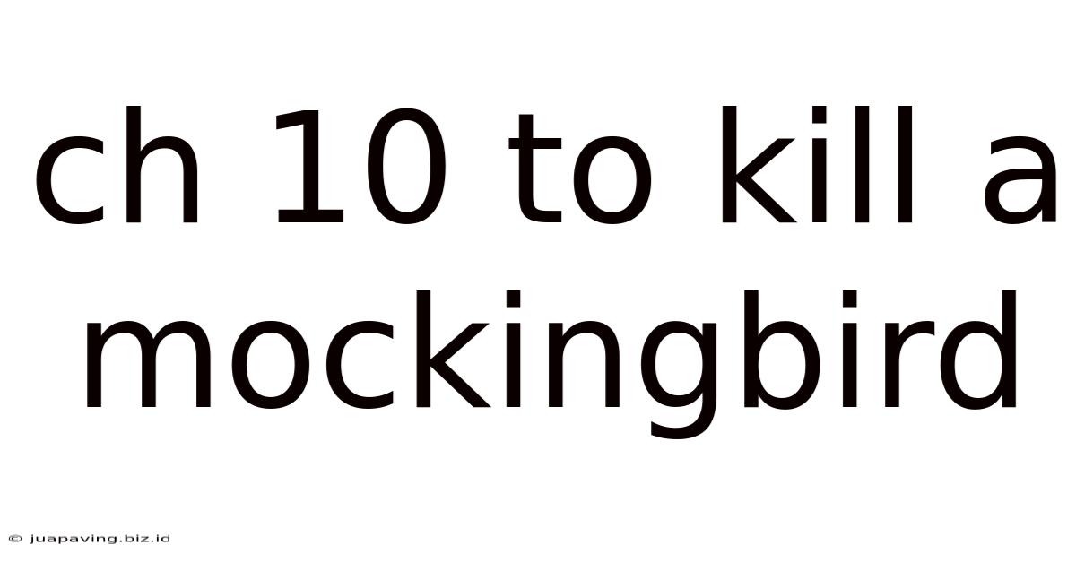 Ch 10 To Kill A Mockingbird