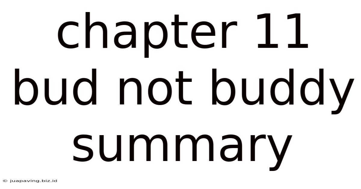 Chapter 11 Bud Not Buddy Summary