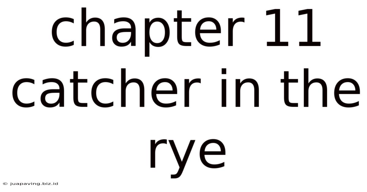 Chapter 11 Catcher In The Rye