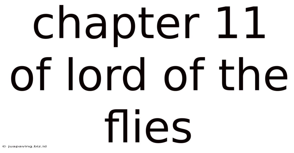 Chapter 11 Of Lord Of The Flies