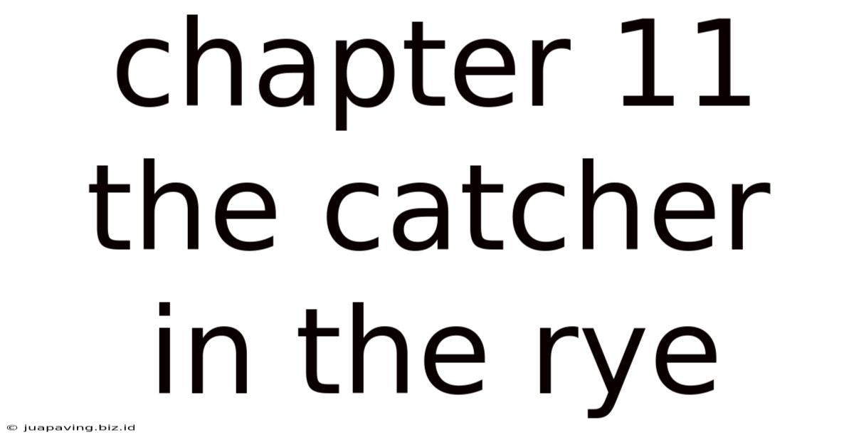 Chapter 11 The Catcher In The Rye