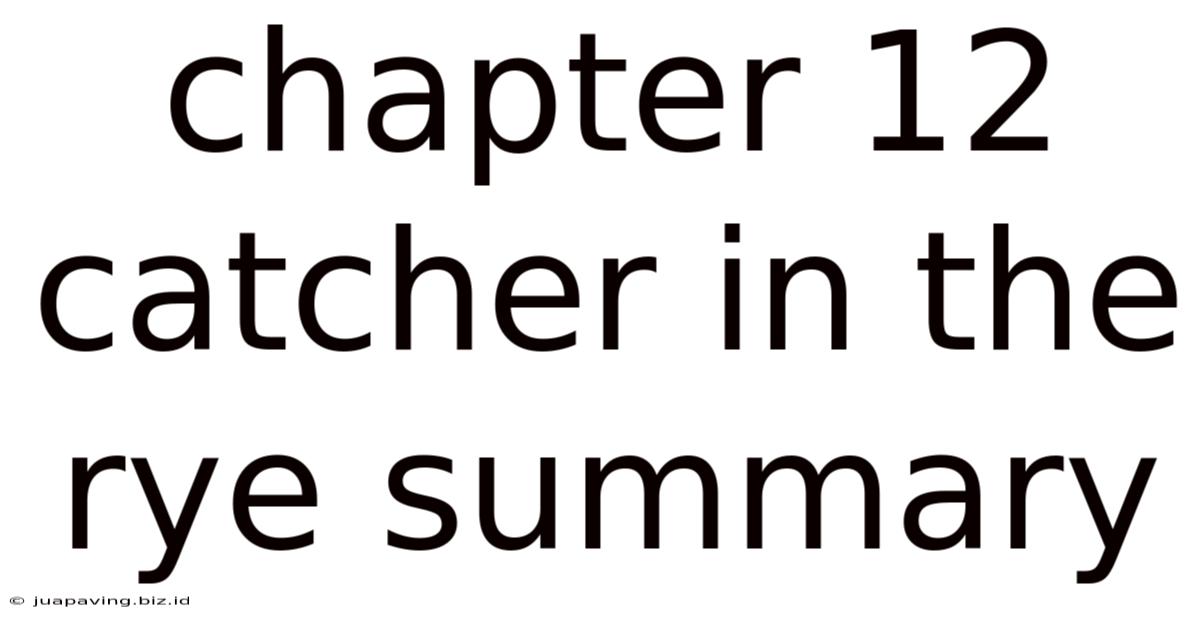 Chapter 12 Catcher In The Rye Summary