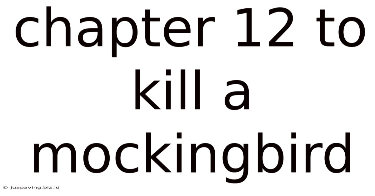 Chapter 12 To Kill A Mockingbird