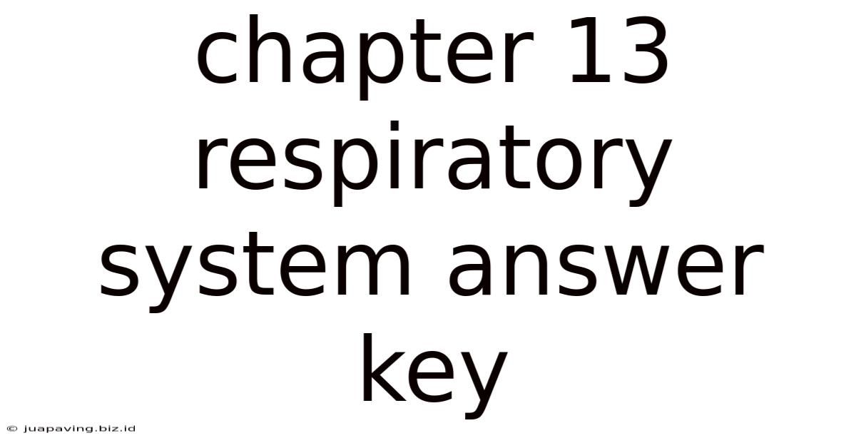 Chapter 13 Respiratory System Answer Key