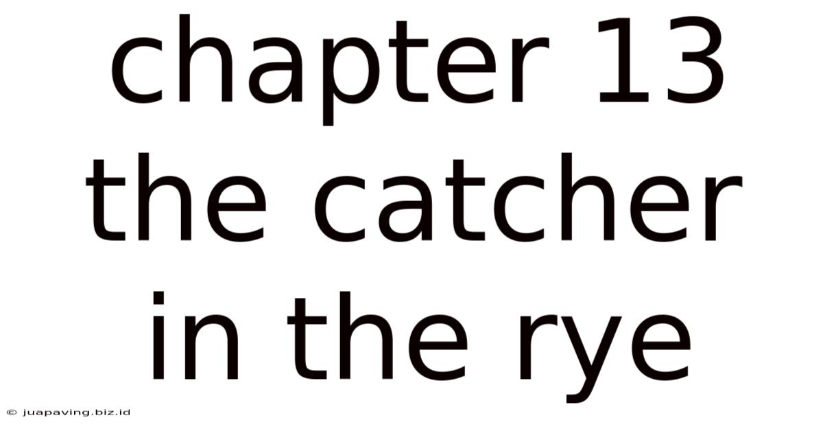Chapter 13 The Catcher In The Rye