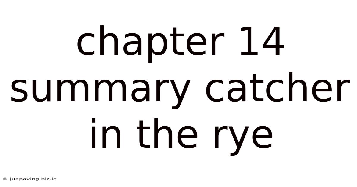 Chapter 14 Summary Catcher In The Rye
