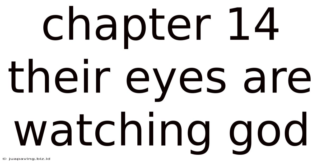 Chapter 14 Their Eyes Are Watching God