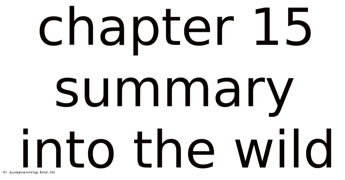 Chapter 15 Summary Into The Wild