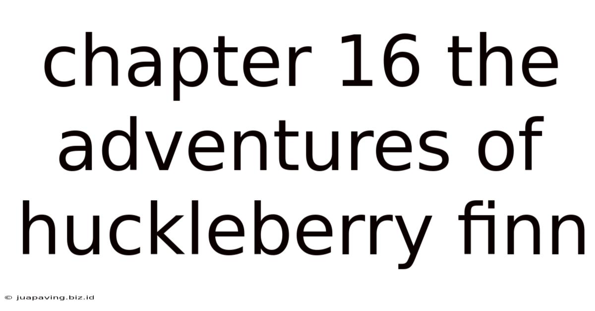 Chapter 16 The Adventures Of Huckleberry Finn