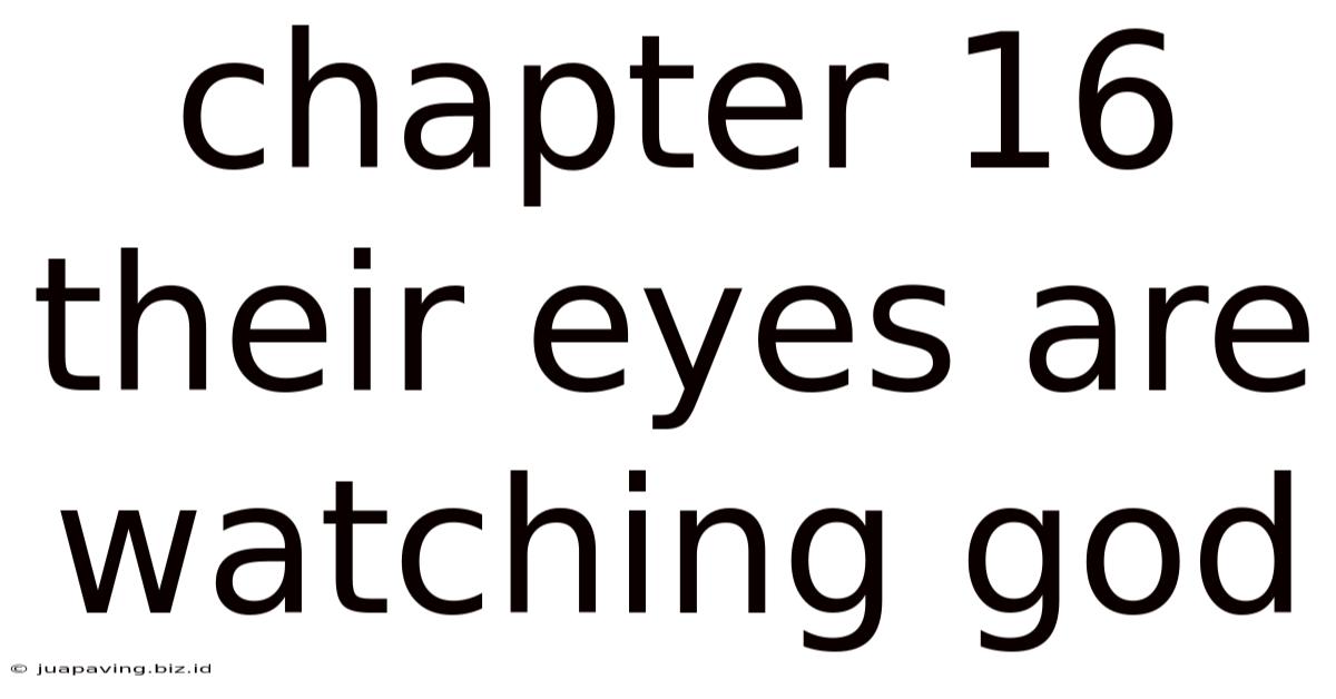 Chapter 16 Their Eyes Are Watching God