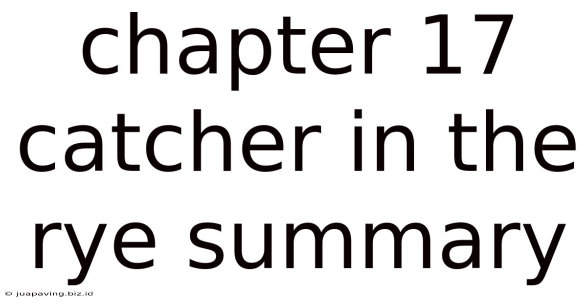 Chapter 17 Catcher In The Rye Summary