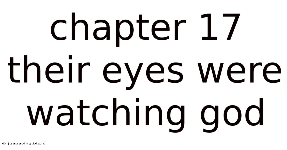 Chapter 17 Their Eyes Were Watching God