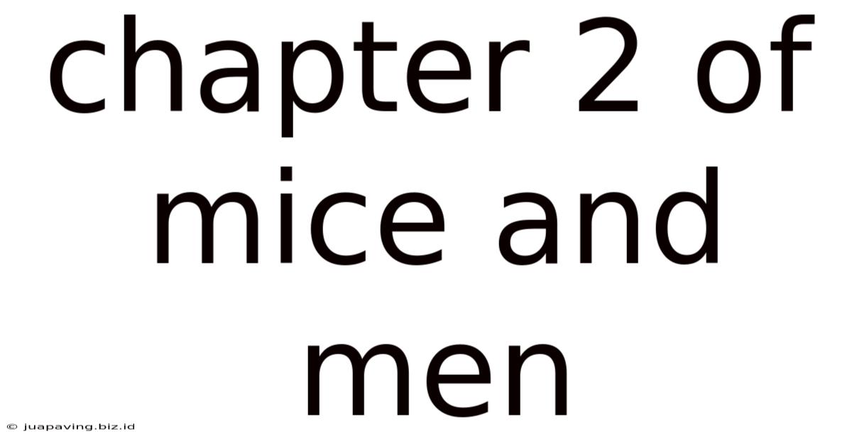 Chapter 2 Of Mice And Men