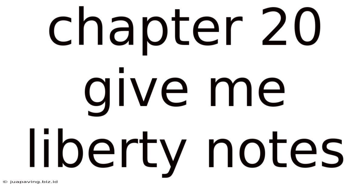Chapter 20 Give Me Liberty Notes