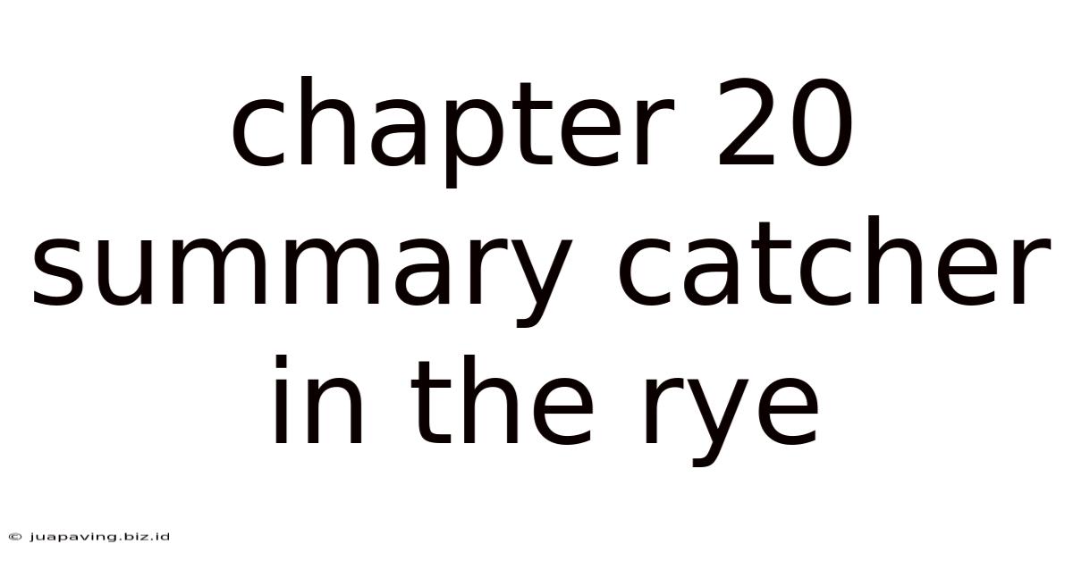 Chapter 20 Summary Catcher In The Rye