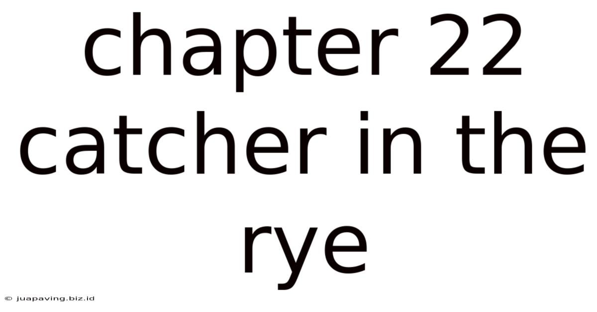 Chapter 22 Catcher In The Rye
