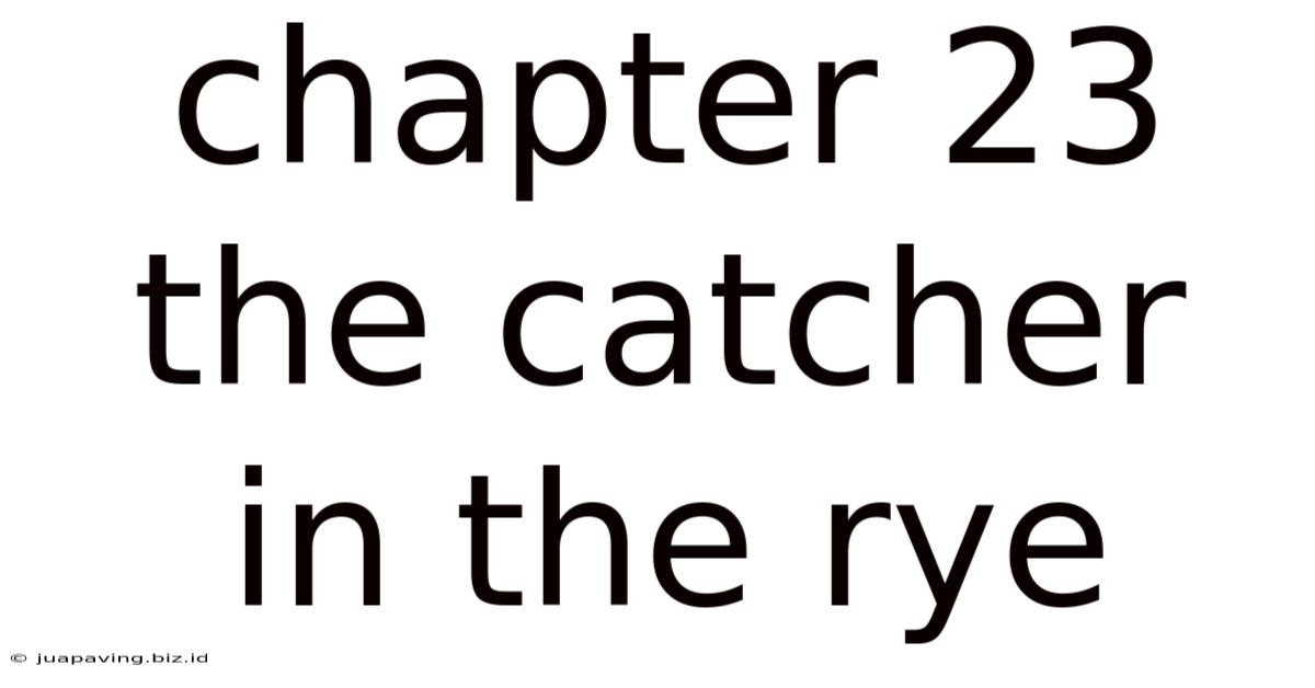 Chapter 23 The Catcher In The Rye