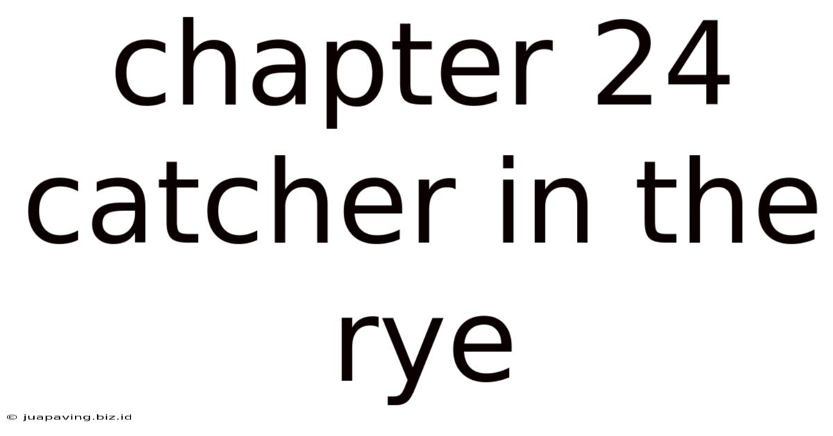 Chapter 24 Catcher In The Rye