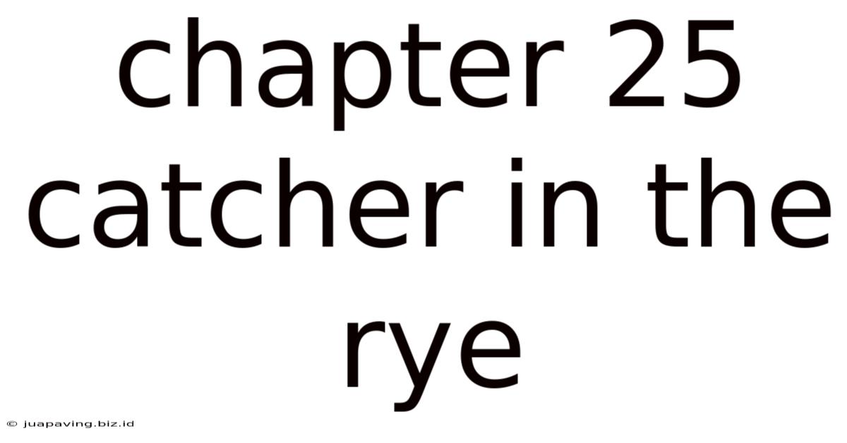 Chapter 25 Catcher In The Rye