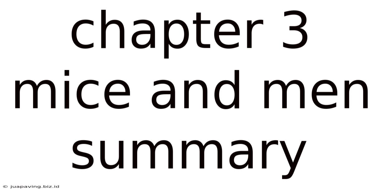 Chapter 3 Mice And Men Summary