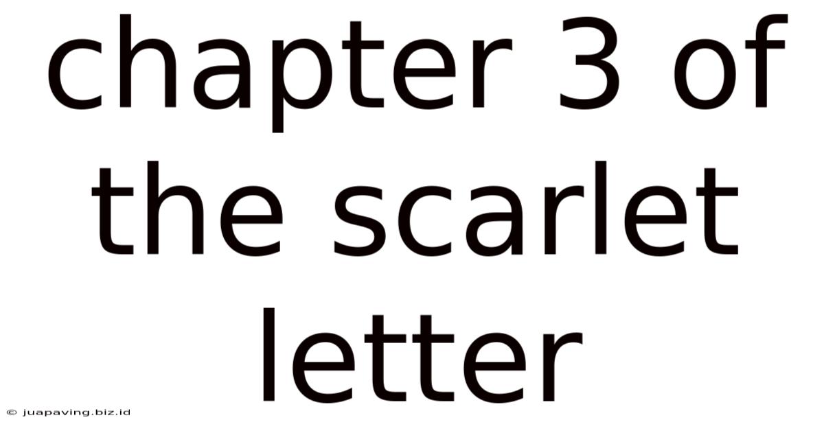 Chapter 3 Of The Scarlet Letter