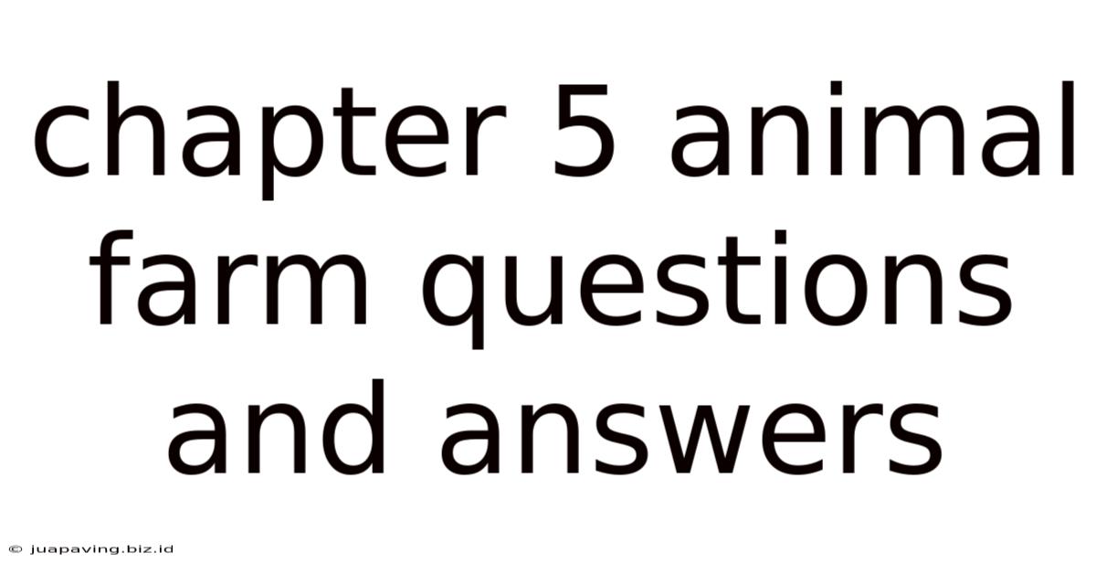 Chapter 5 Animal Farm Questions And Answers