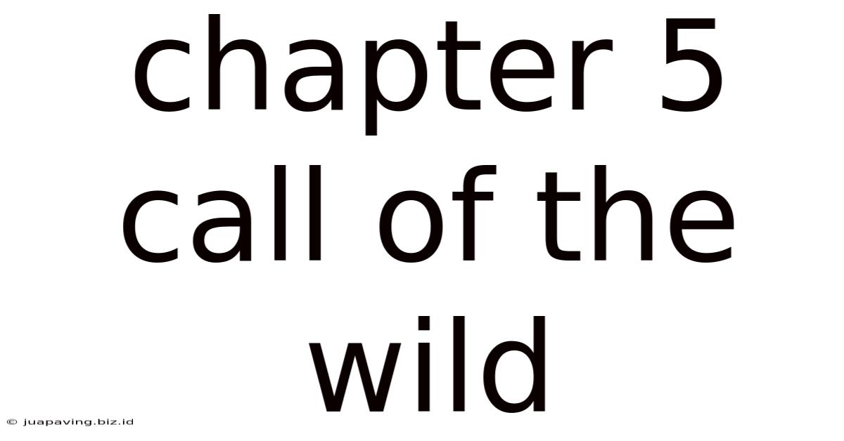 Chapter 5 Call Of The Wild