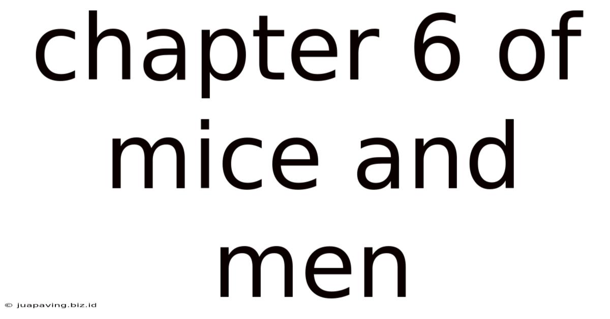 Chapter 6 Of Mice And Men
