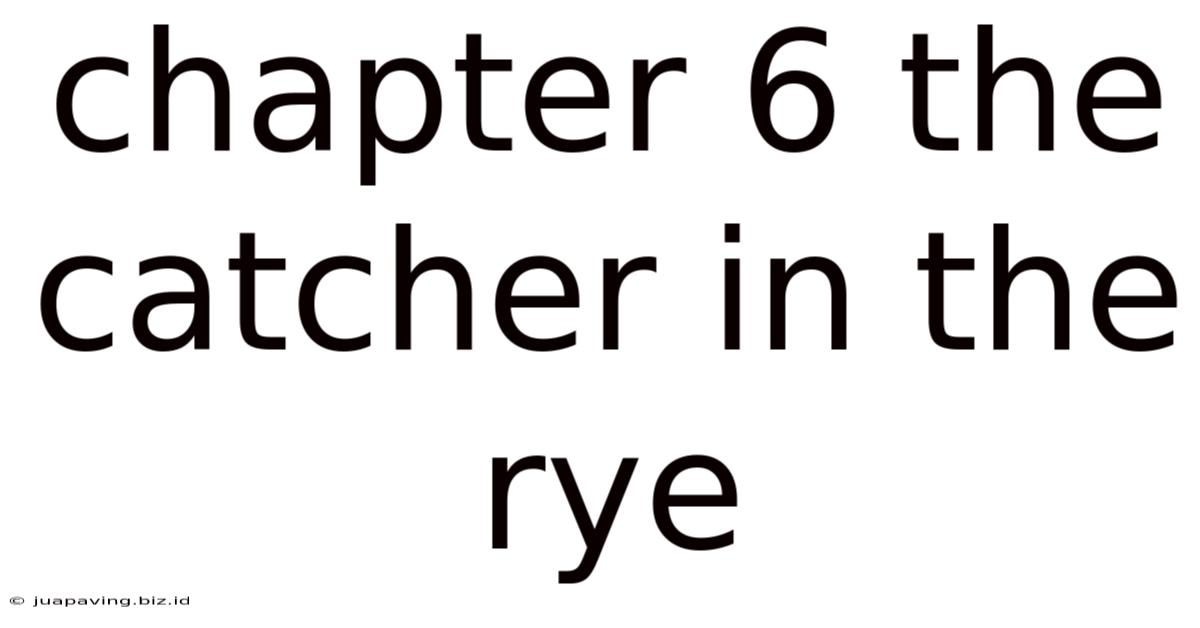 Chapter 6 The Catcher In The Rye