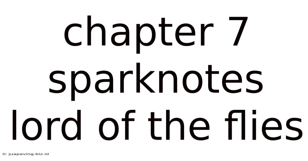 Chapter 7 Sparknotes Lord Of The Flies