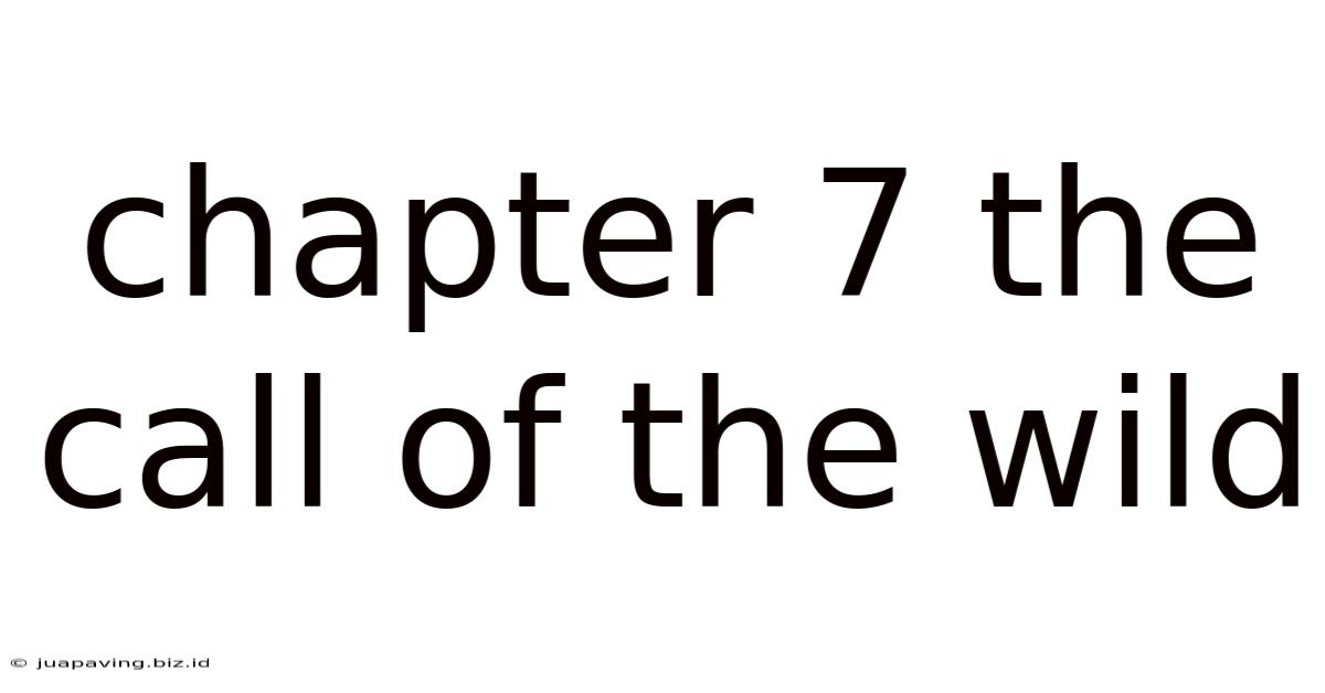 Chapter 7 The Call Of The Wild