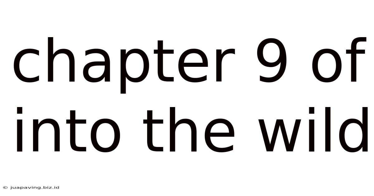 Chapter 9 Of Into The Wild