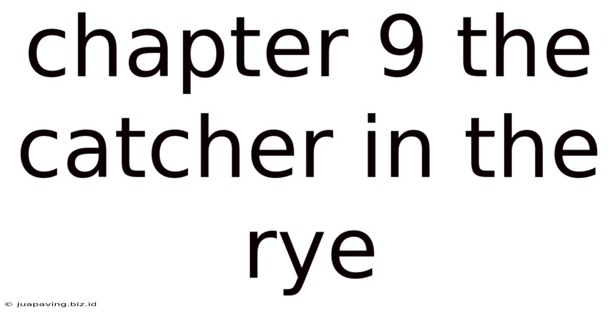 Chapter 9 The Catcher In The Rye