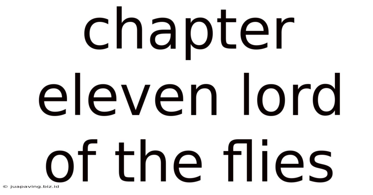 Chapter Eleven Lord Of The Flies