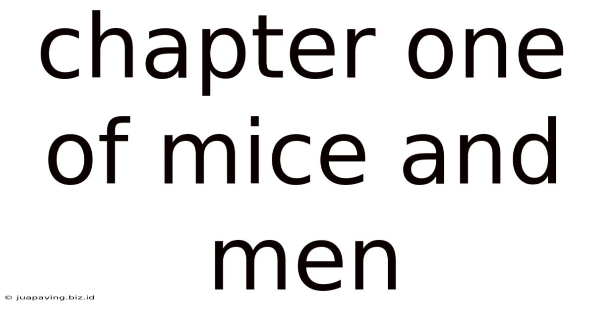 Chapter One Of Mice And Men