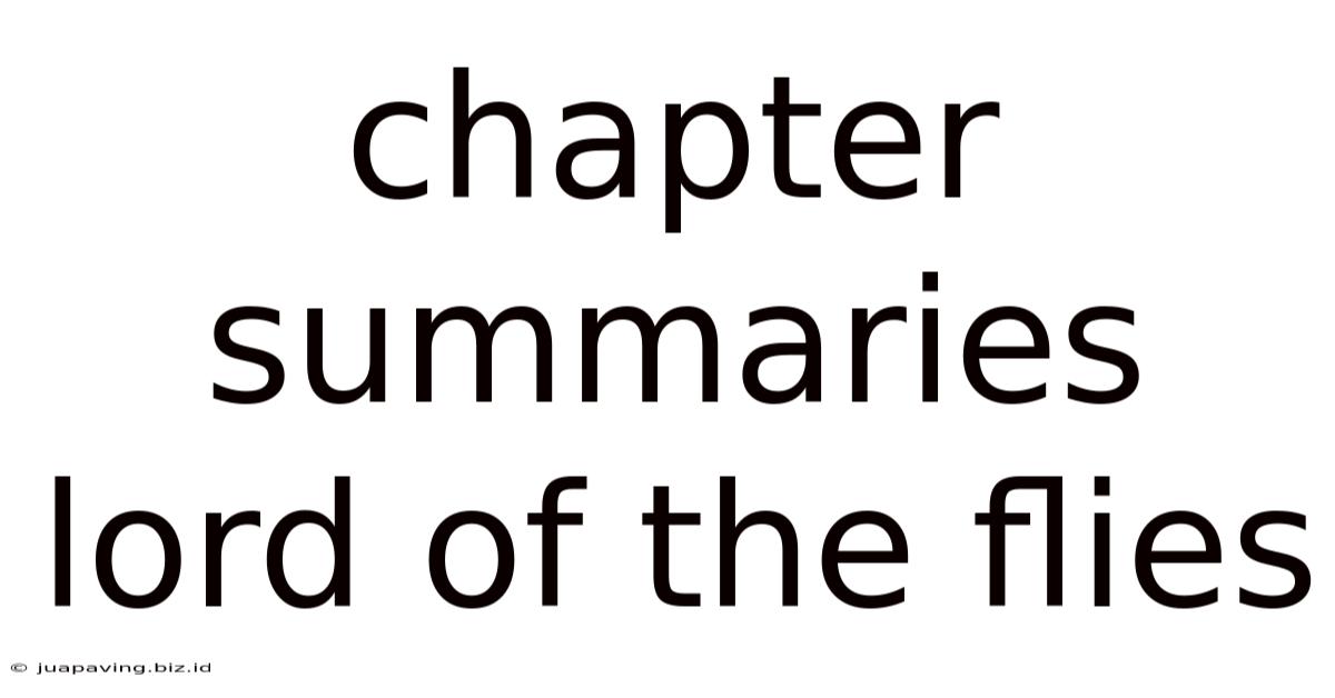 Chapter Summaries Lord Of The Flies