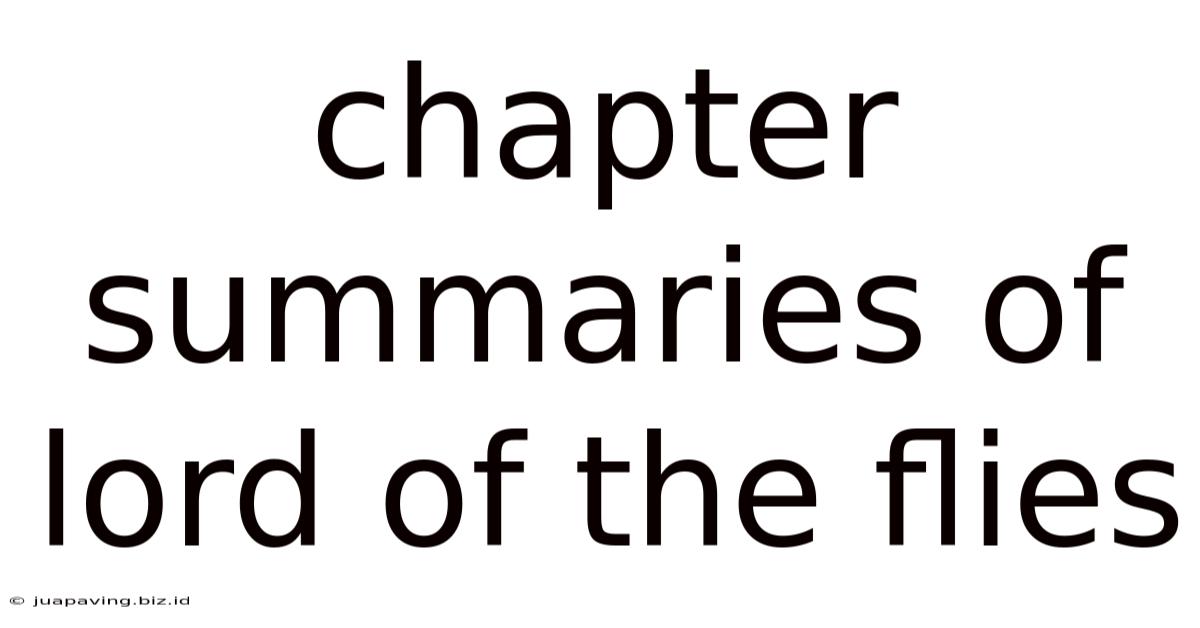 Chapter Summaries Of Lord Of The Flies