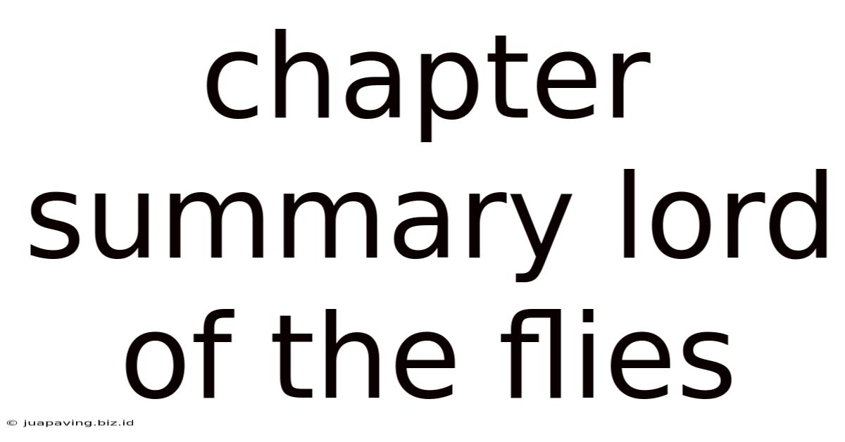 Chapter Summary Lord Of The Flies