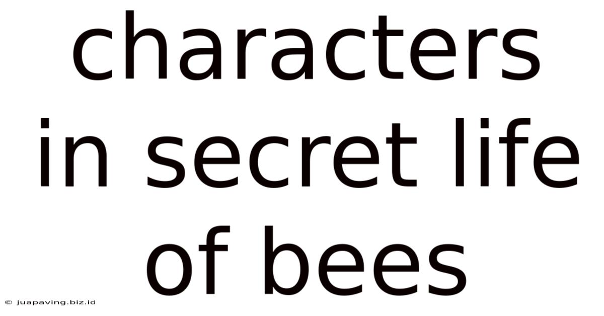 Characters In Secret Life Of Bees
