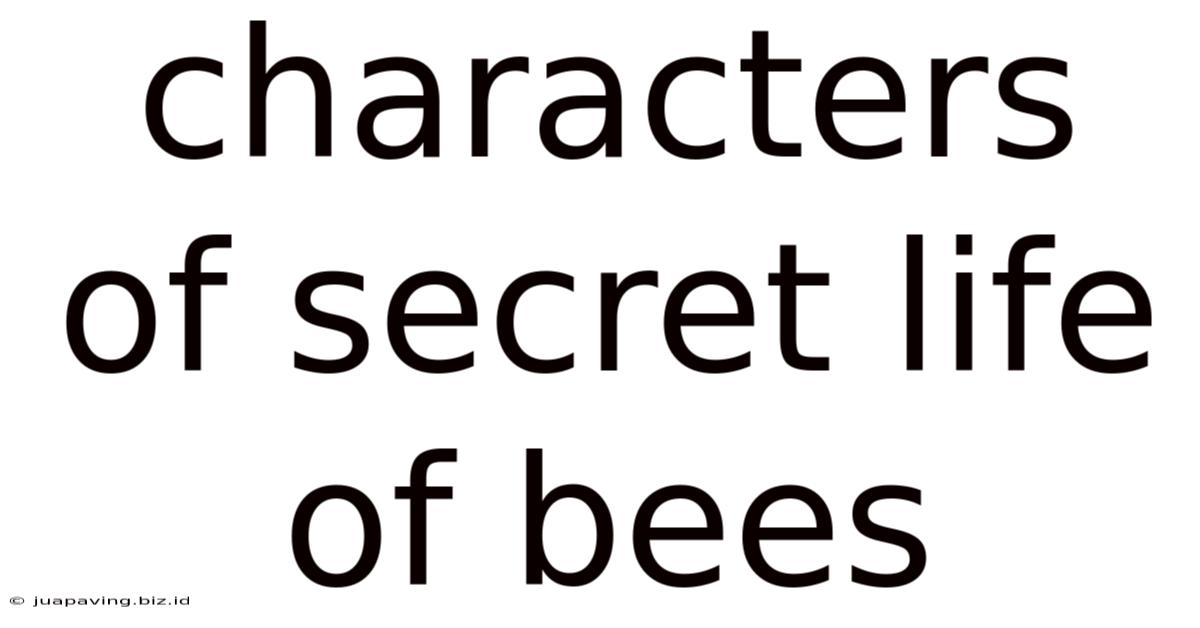 Characters Of Secret Life Of Bees