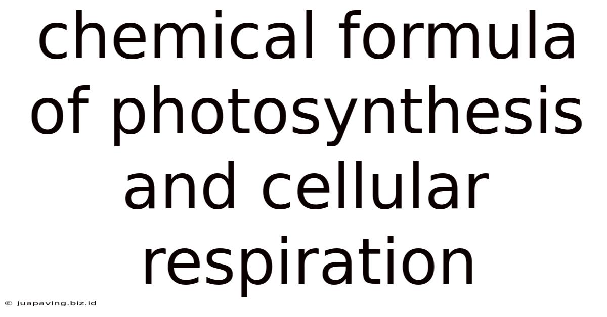 Chemical Formula Of Photosynthesis And Cellular Respiration