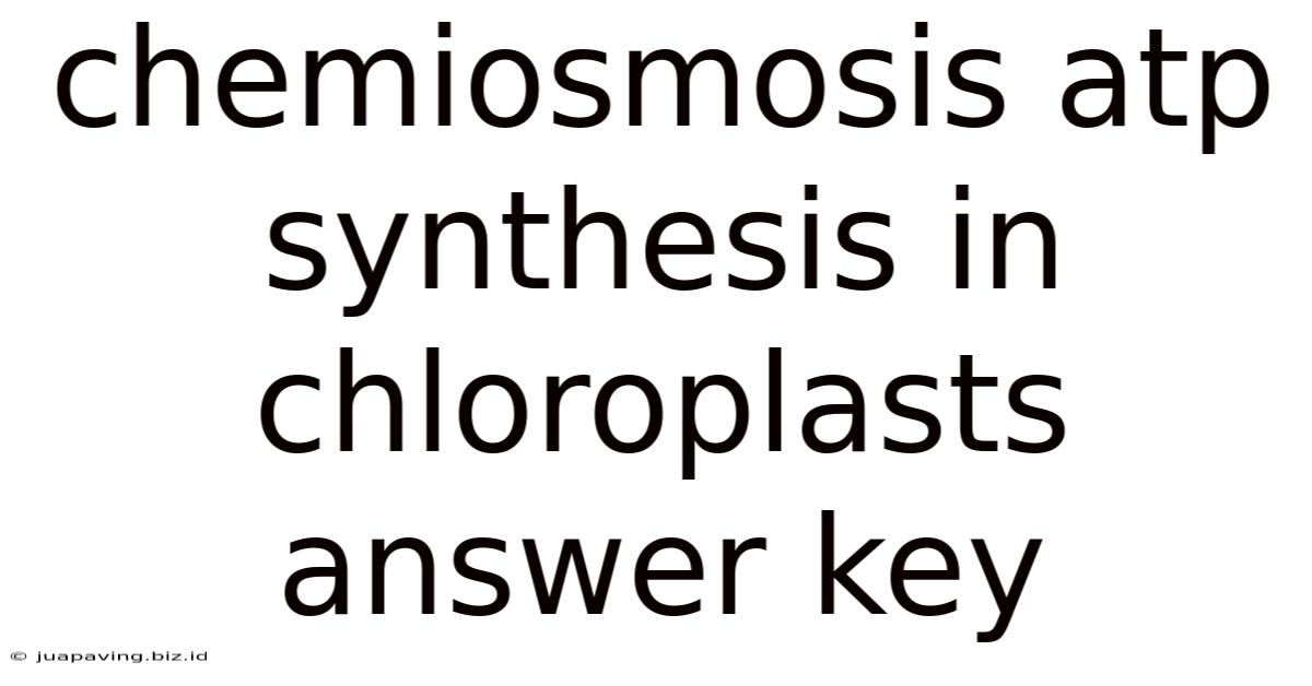 Chemiosmosis Atp Synthesis In Chloroplasts Answer Key