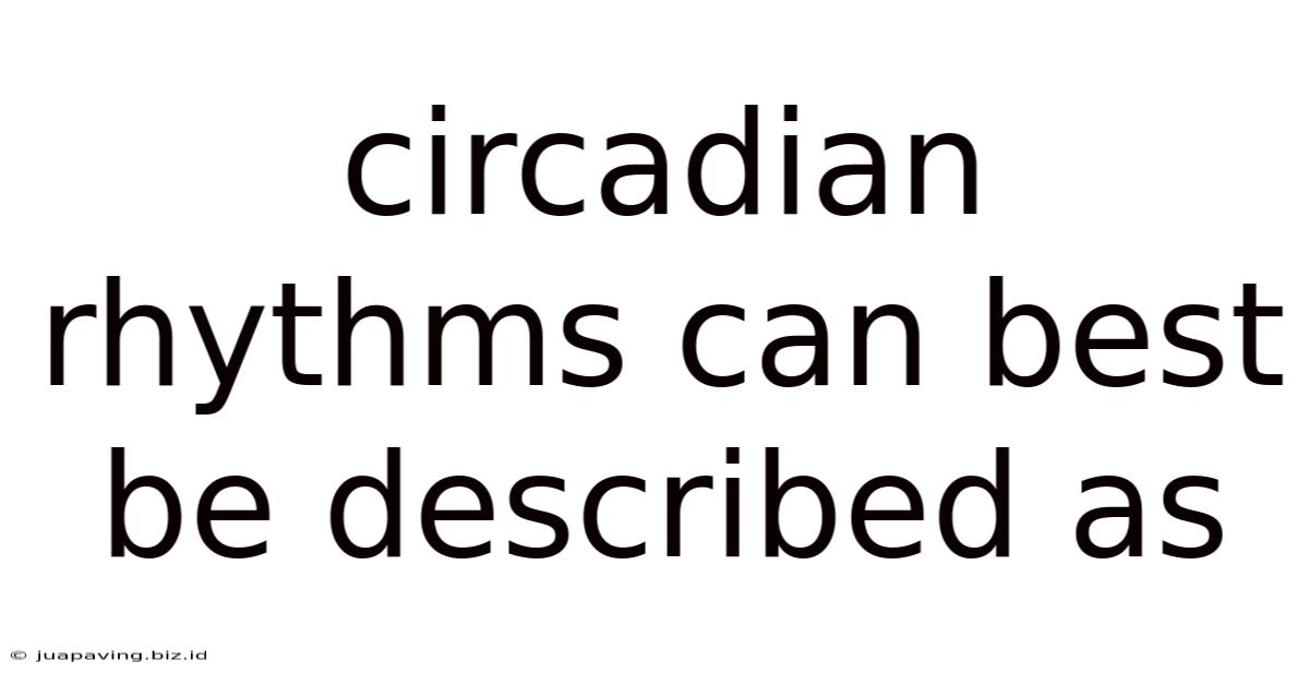 Circadian Rhythms Can Best Be Described As